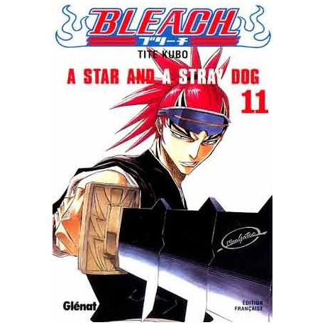 BLEACH - TOME 11 A STAR AND A STRAY DOG