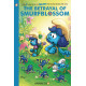 SMURFS THE VILLAGE BEHIND THE WALL HC VOL 2