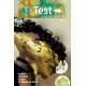 TEST 3