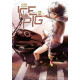 ICE PIG - T02