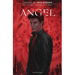 ANGEL 20TH ANNIVERSARY ED HC VOL 1