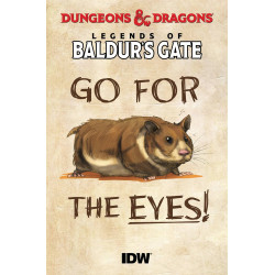 DUNGEONS DRAGONS BALDURS GATE 100-PAGER 