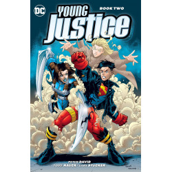 YOUNG JUSTICE TP BOOK 2