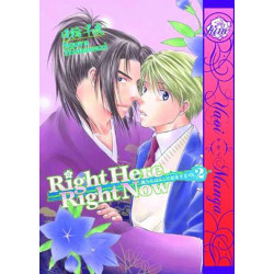 RIGHT HERE RIGHT NOW GN VOL 2