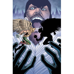 HAWKMAN 17 YOTV
