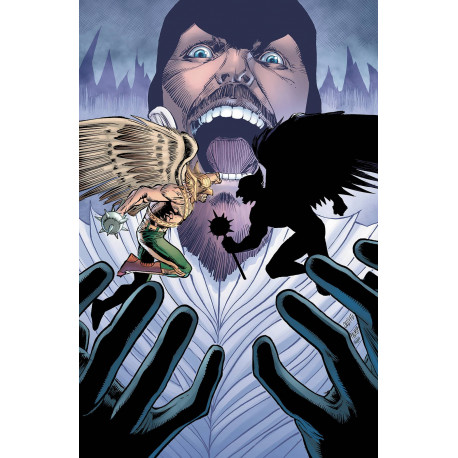 HAWKMAN 17 YOTV