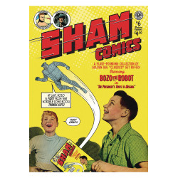 SHAM 6