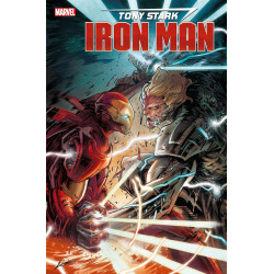 TONY STARK IRON MAN 17