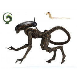 DOG ALIEN 3 FIGURINE ULTIMATE 23 CM