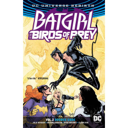 BATGIRL THE BIRDS OF PREY TP VOL 2 SOURCE CODE REBIRTH 