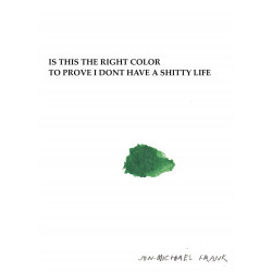 IS THIS RIGHT COLOR TO PROVE DONT HAVE SHITTY LIFE GN 