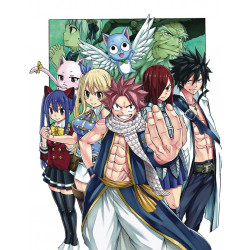 FAIRY TAIL 100 YEARS QUEST GN VOL 2