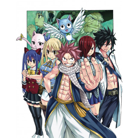 FAIRY TAIL 100 YEARS QUEST GN VOL 2