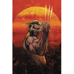 WEAPON X 1 VAR CVR A MICHAEL TURNER 