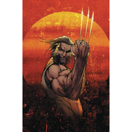 WEAPON X 1 VAR CVR A MICHAEL TURNER 