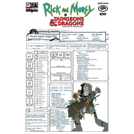 RICK MORTY VS D D II PAINSCAPE 3 CVR C CHARACTER SHEET