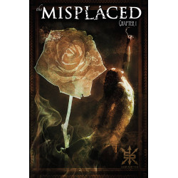 MISPLACED 1