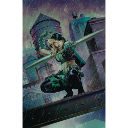ROBYN HOOD VIGILANTE 1 CVR A COCCOLO