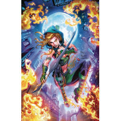 ROBYN HOOD VIGILANTE 1 CVR C ROYLE