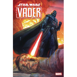 STAR WARS TARGET VADER 5