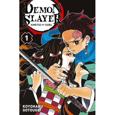 DEMON SLAYER T01