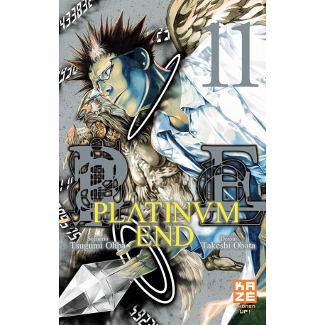 PLATINUM END T11