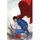 ACTION COMICS 1018 CARD STOCK VAR ED
