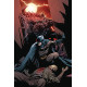 DETECTIVE COMICS 1018