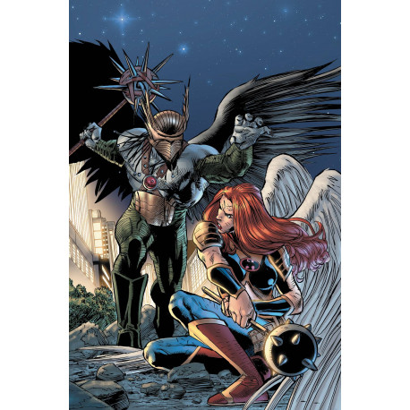 HAWKMAN 19