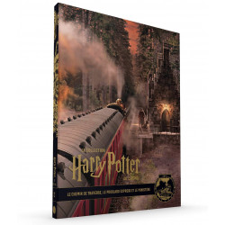 LA COLLECTION HARRY POTTER AU CINEMA, 2 : LE CHEMIN DE TRAVERSE, LE POUDLARD EXPRESS ET LE MINISTERE