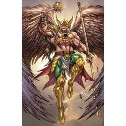 HAWKMAN 20 VAR ED