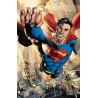 SUPERMAN 19 VAR ED