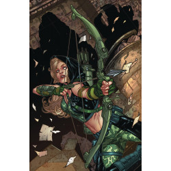 ROBYN HOOD VIGILANTE 3 CVR A JOHNSON