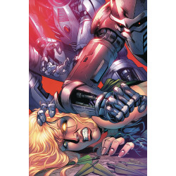 ROBYN HOOD VIGILANTE 3 CVR B GOH