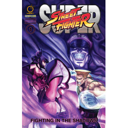 SUPER STREET FIGHTER OMNIBUS TP 