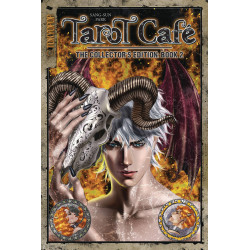 TAROT CAFE MANGA COLLECTION GN VOL 2