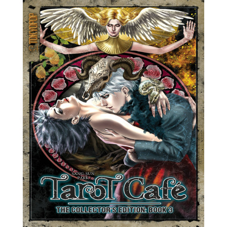 TAROT CAFE MANGA COLLECTION GN VOL 3