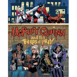 HARLEY QUINN AND THE BIRDS OF PREY 1