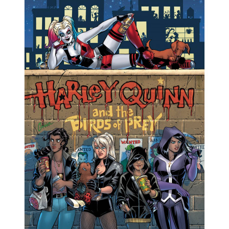 HARLEY QUINN AND THE BIRDS OF PREY 1