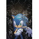 SONIC THE HEDGEHOG 26 CVR A STANLEY