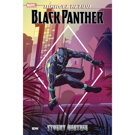 MARVEL ACTION BLACK PANTHER TP BOOK 1 STORMY WEATHER