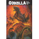 GODZILLA RAGE ACROSS TIME TP 