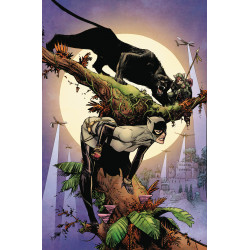 CATWOMAN 23