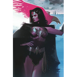 WONDER WOMAN 758 CARD STOCK JEFF DEKAL VAR ED