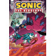 SONIC THE HEDGEHOG 29 CVR A LAWRENCE