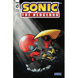 SONIC THE HEDGEHOG 30 CVR B SKELLY