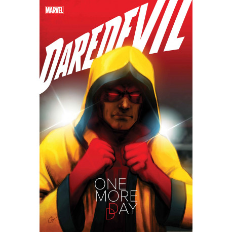 DAREDEVIL ANNUAL 1 