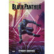 MARVEL ACTION BLACK PANTHER TP BOOK 1 STORMY WEATHER