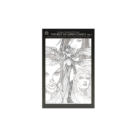 TURNER ART EDITION BEST OF ASPEN COMICS VOL 1 CVR A