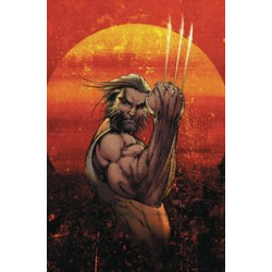 WEAPON X 1 VAR CVR A MICHAEL TURNER 